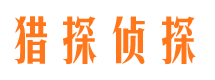 元江调查公司